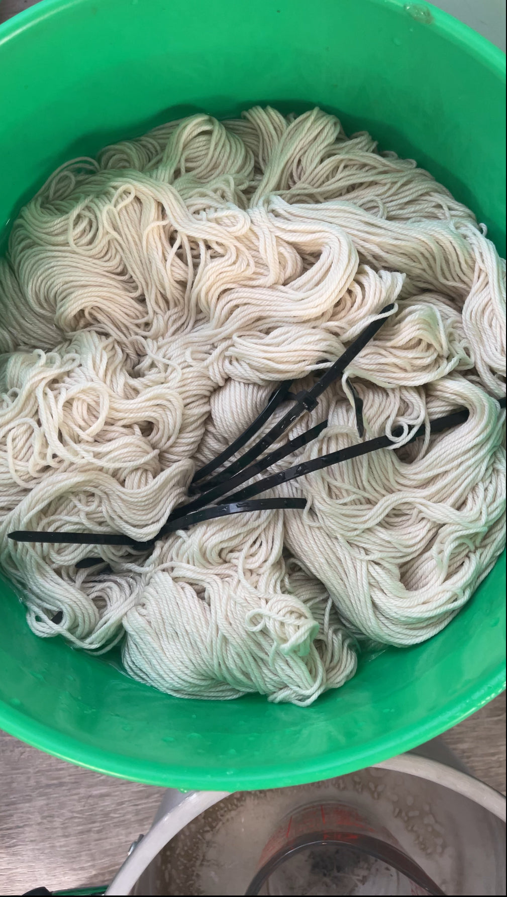 Intro to Natural Dyeing