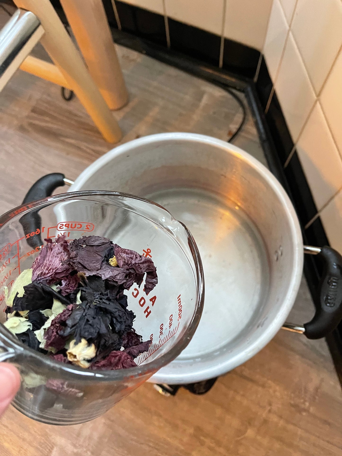 Intro to Natural Dyeing