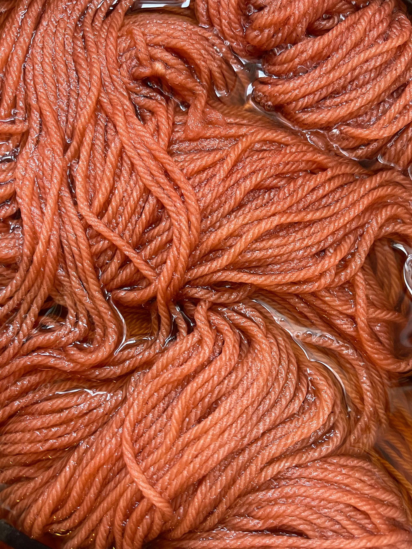 Intro to Natural Dyeing
